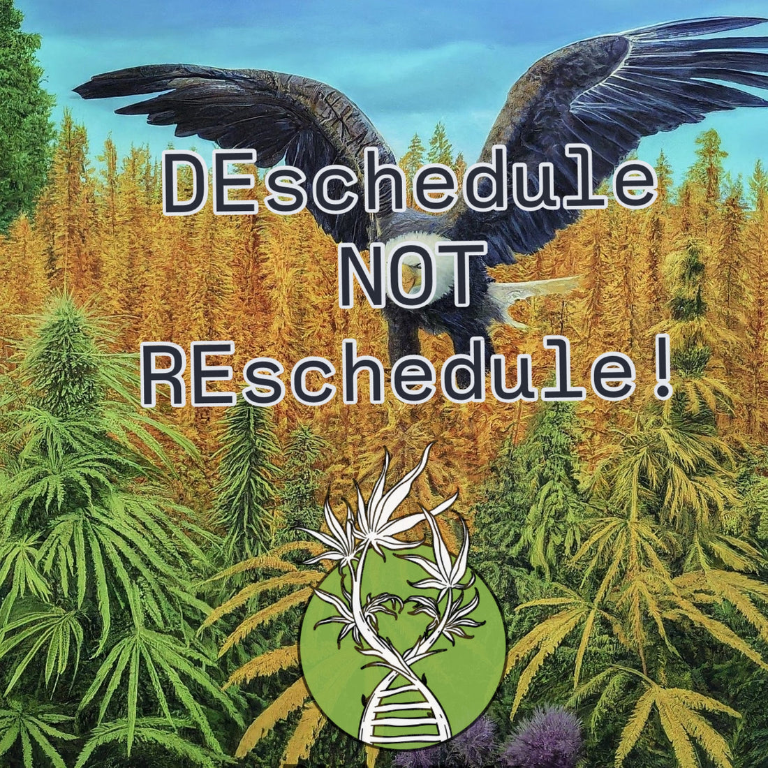 Deschedule NOT reschedule cannabis!