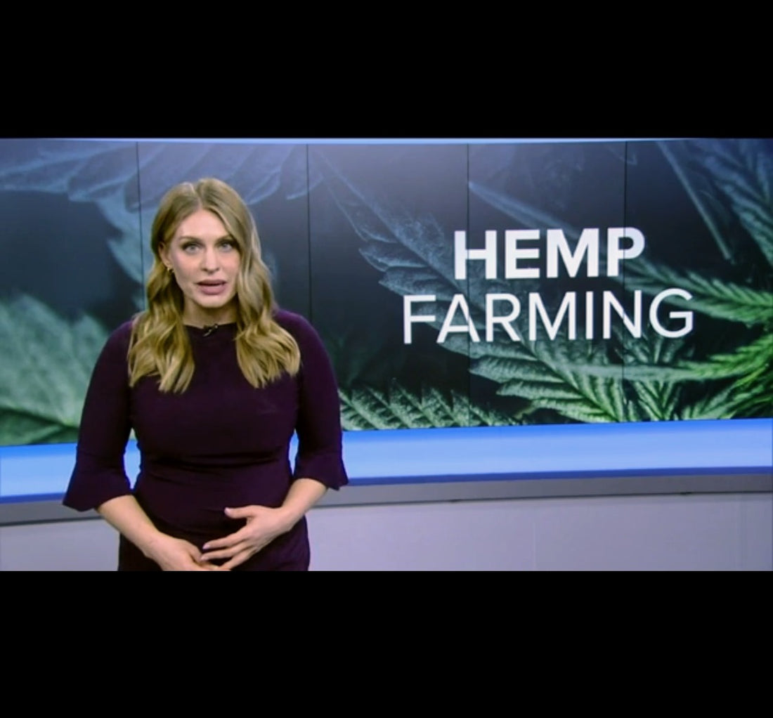 TMJ4: Hemp growers eye opportunity within medical marijuana legislation